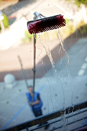 IMG_4850.jpg